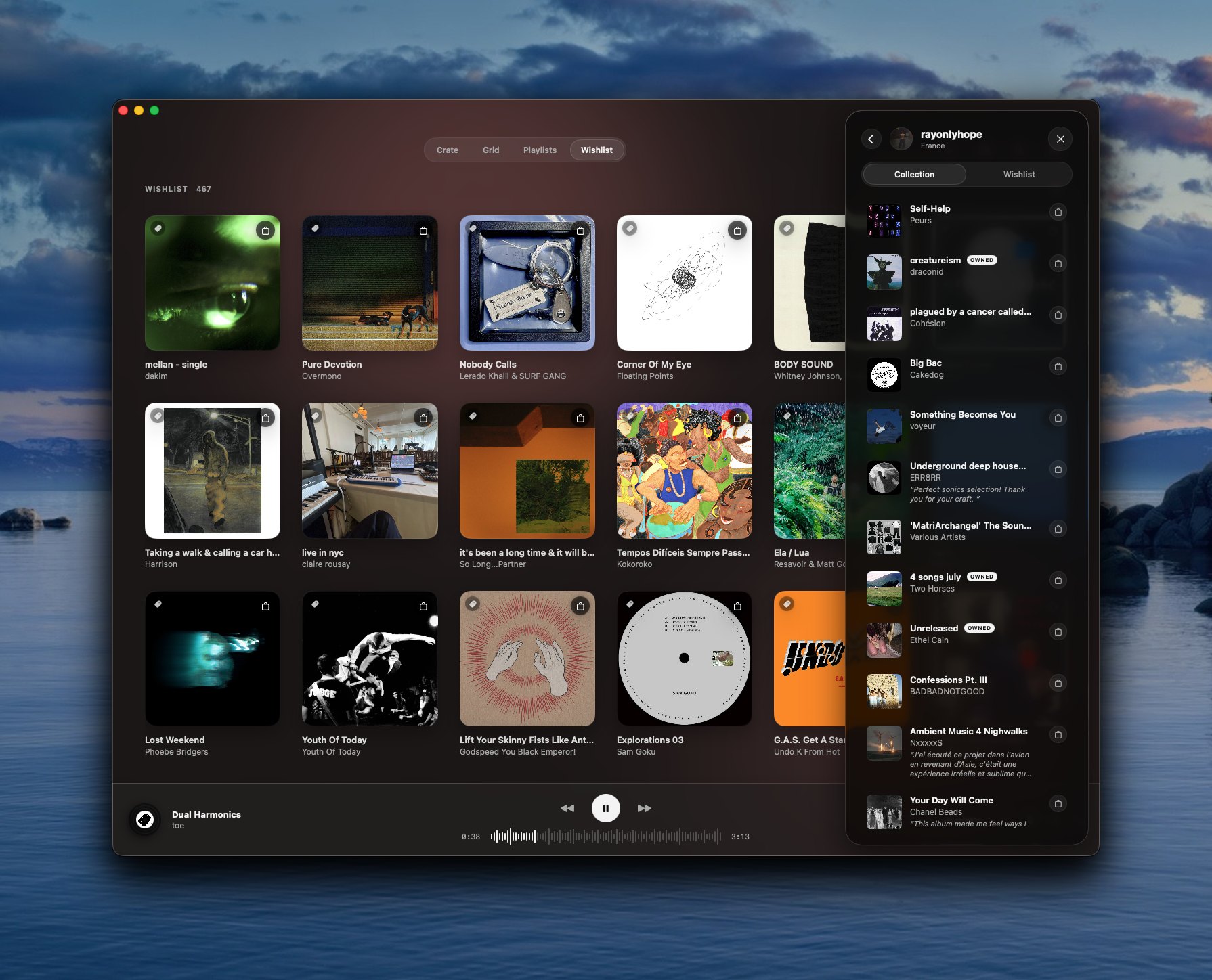 Cabin showing a friend's collection and wishlist in a side panel