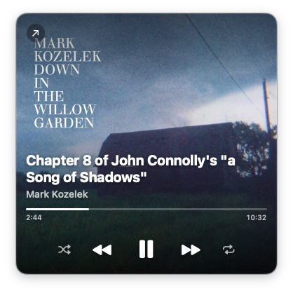 Tidal mini player